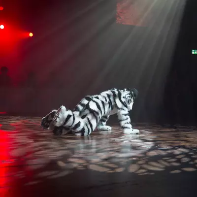 3B9C7487.jpg of cons/Eurofurence-22/