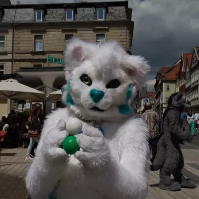 IMG_8667.jpg of cons/Fursuitwalk-Coburg-2014/