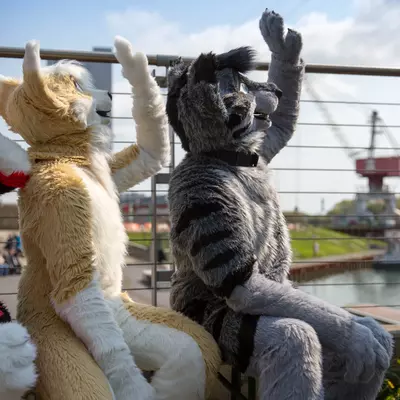 3B9C6268.jpg of cons/Fursuit-Bungeejumping-2016/