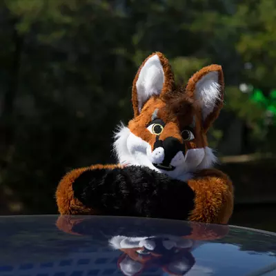 3B9C3344.jpg of cons/Eurofurence-21/