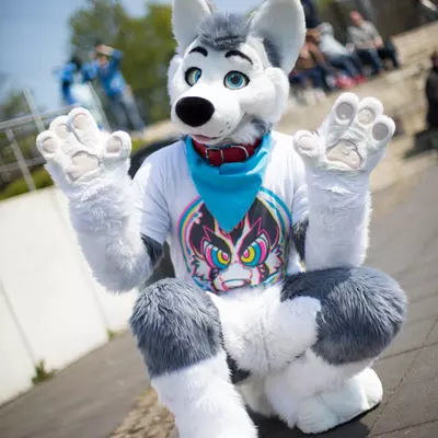 3B9C6362.jpg of cons/Fursuit-Bungeejumping-2016/