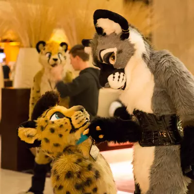 3B9C0022.jpg of cons/MFF-2018/
