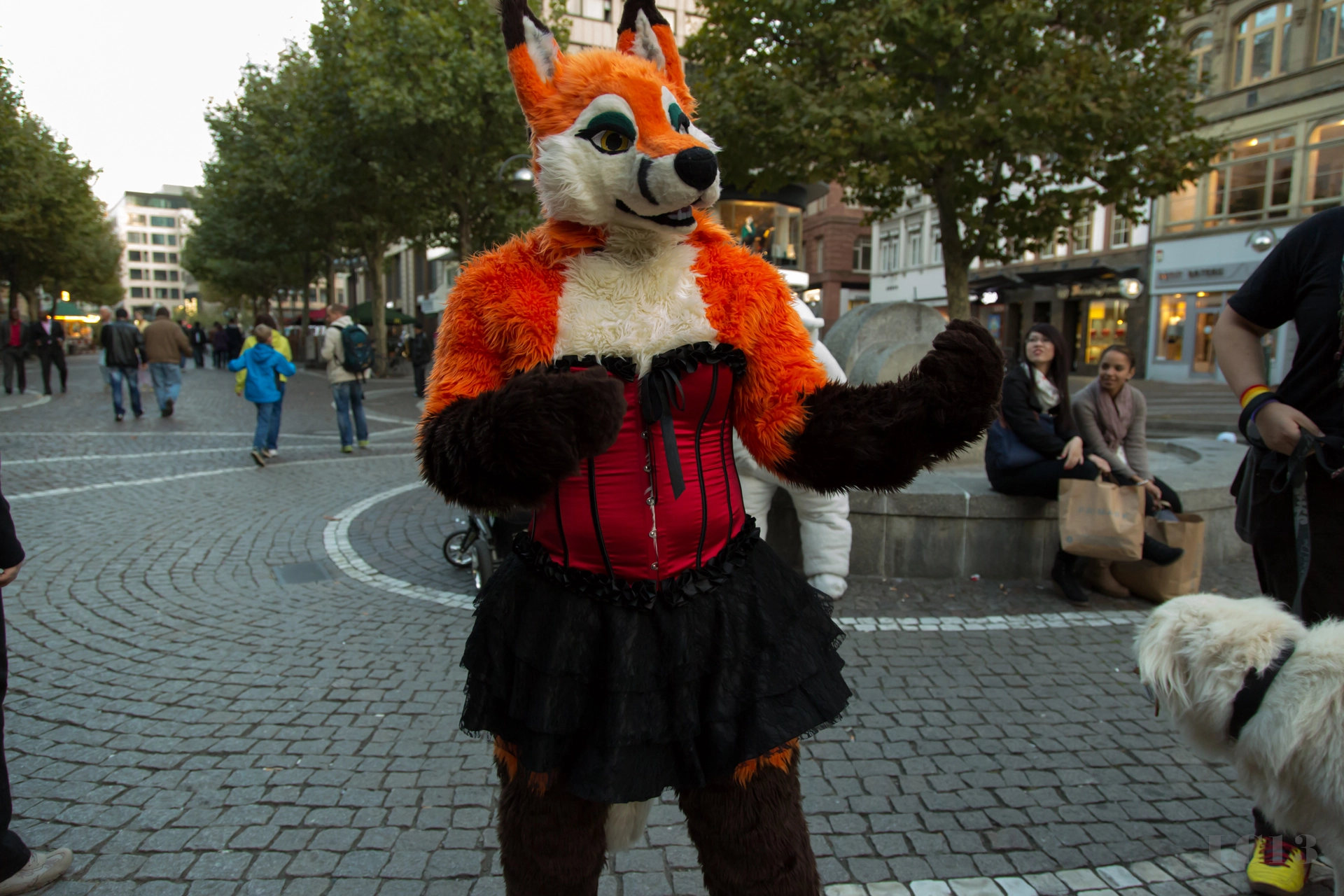 full image img-80.jpg