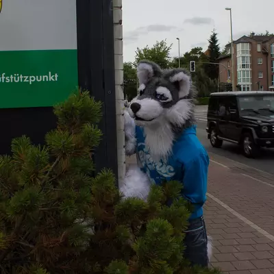 img-34.jpg of cons/Suitwalk-2013-Marl/
