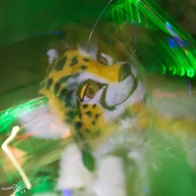 3B9C7883.jpg of cons/Eurofurence-22/