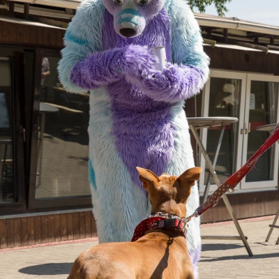 3B9C2624.jpg of cons/Animal-Rescue-2015/