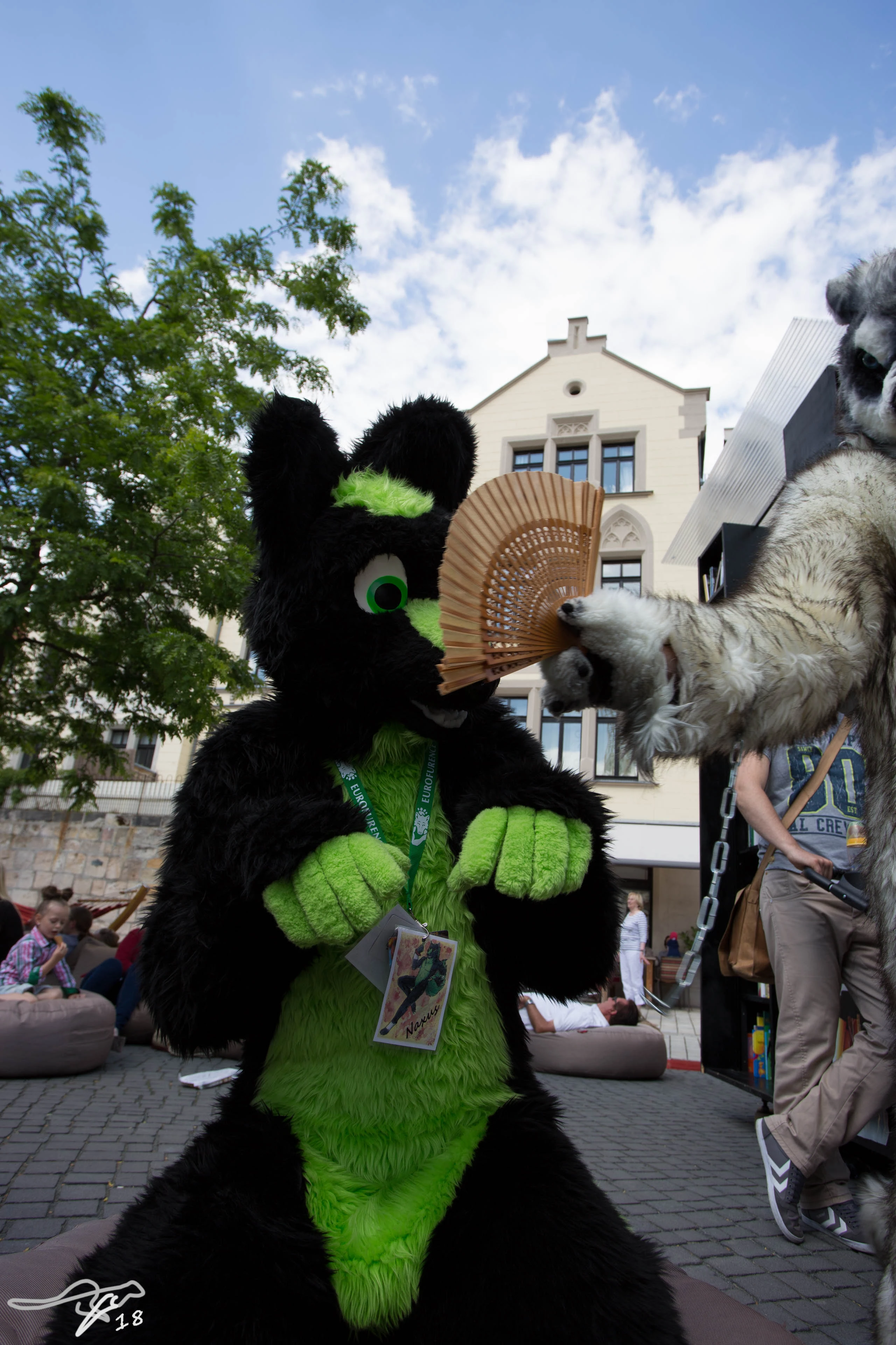 full image IMG_8733.jpg