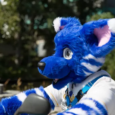 3B9C3362.jpg of cons/Eurofurence-21/