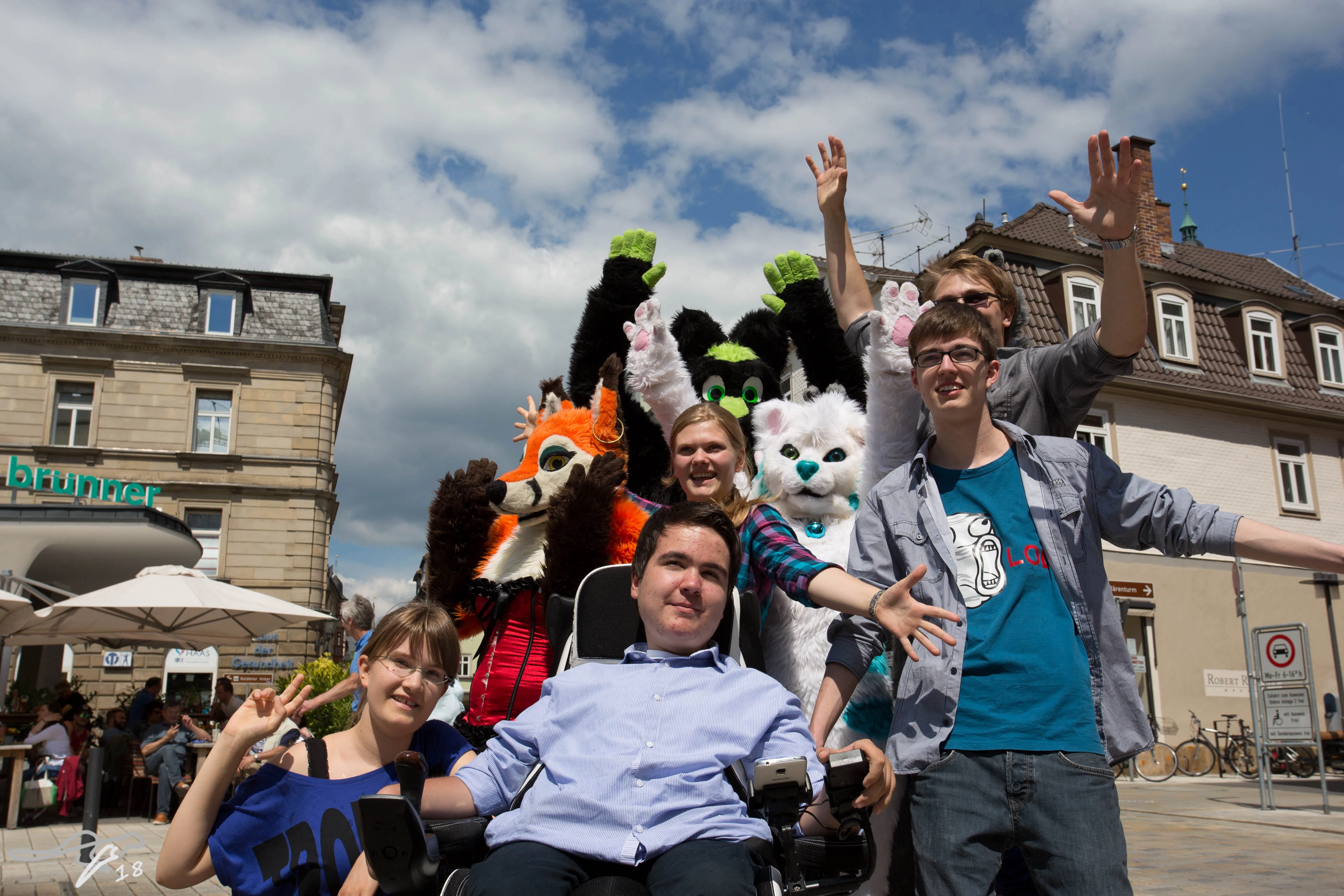 full image IMG_8707.jpg