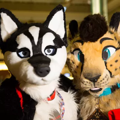 3B9C9983.jpg of cons/MFF-2018/