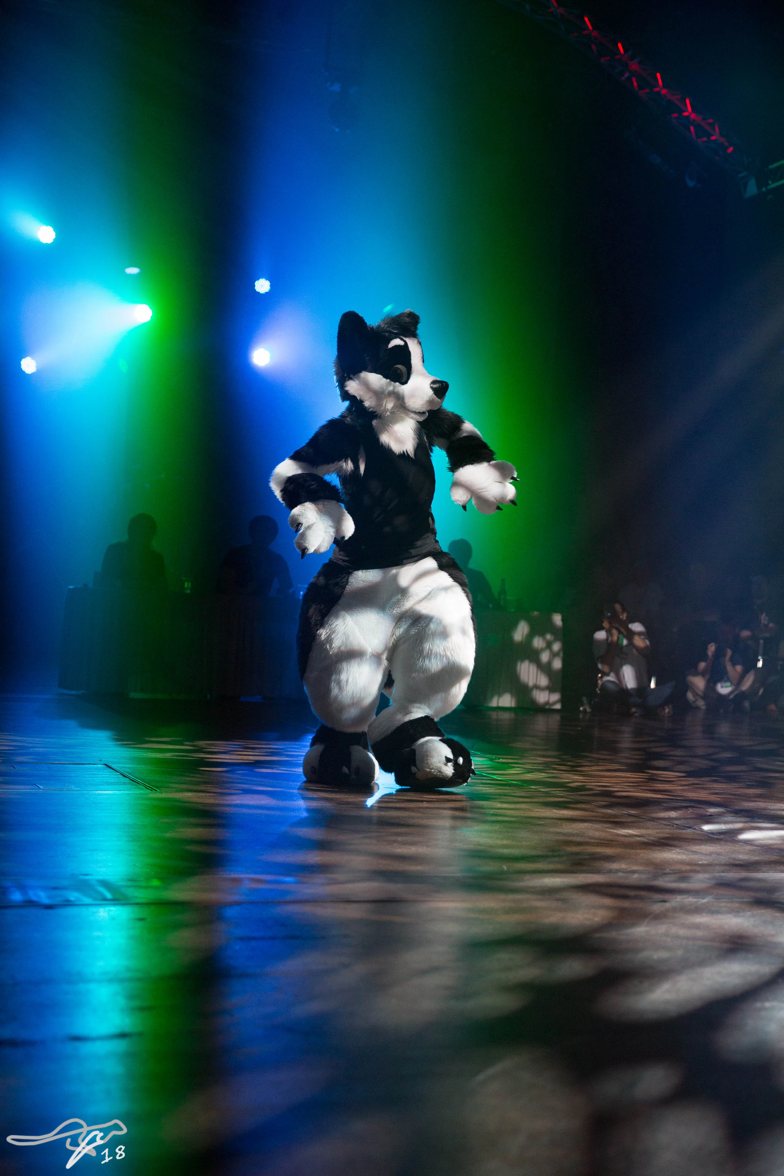 full image 3B9C7742.jpg