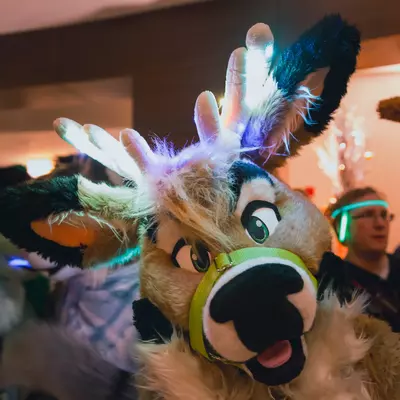 3B9C9969.jpg of cons/MFF-2018/