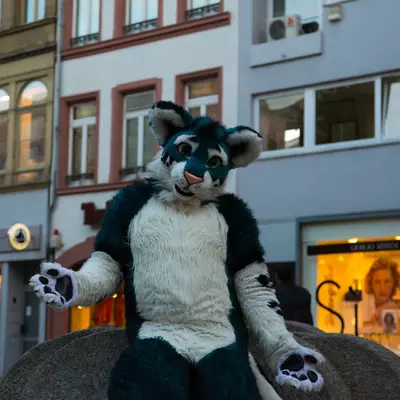 img-81.jpg of cons/Fursuitwalk-Frankfurt-2013/