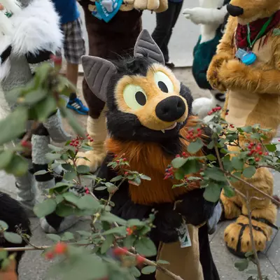 3B9C9750.jpg of cons/Eurofurence-20/