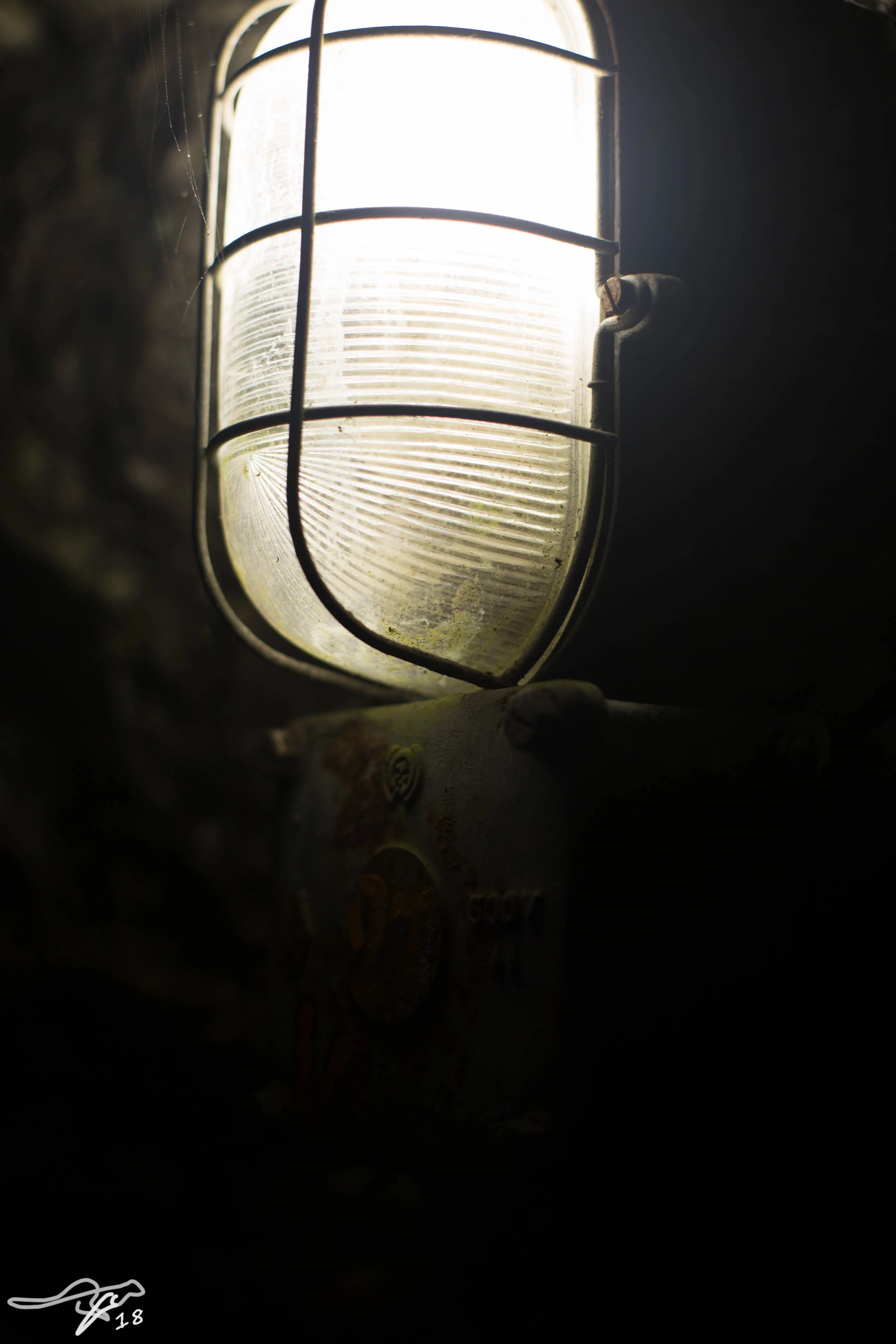 full image 3B9C0054.jpg