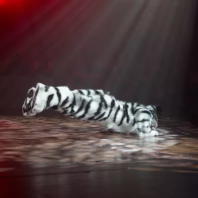 3B9C7485.jpg of cons/Eurofurence-22/