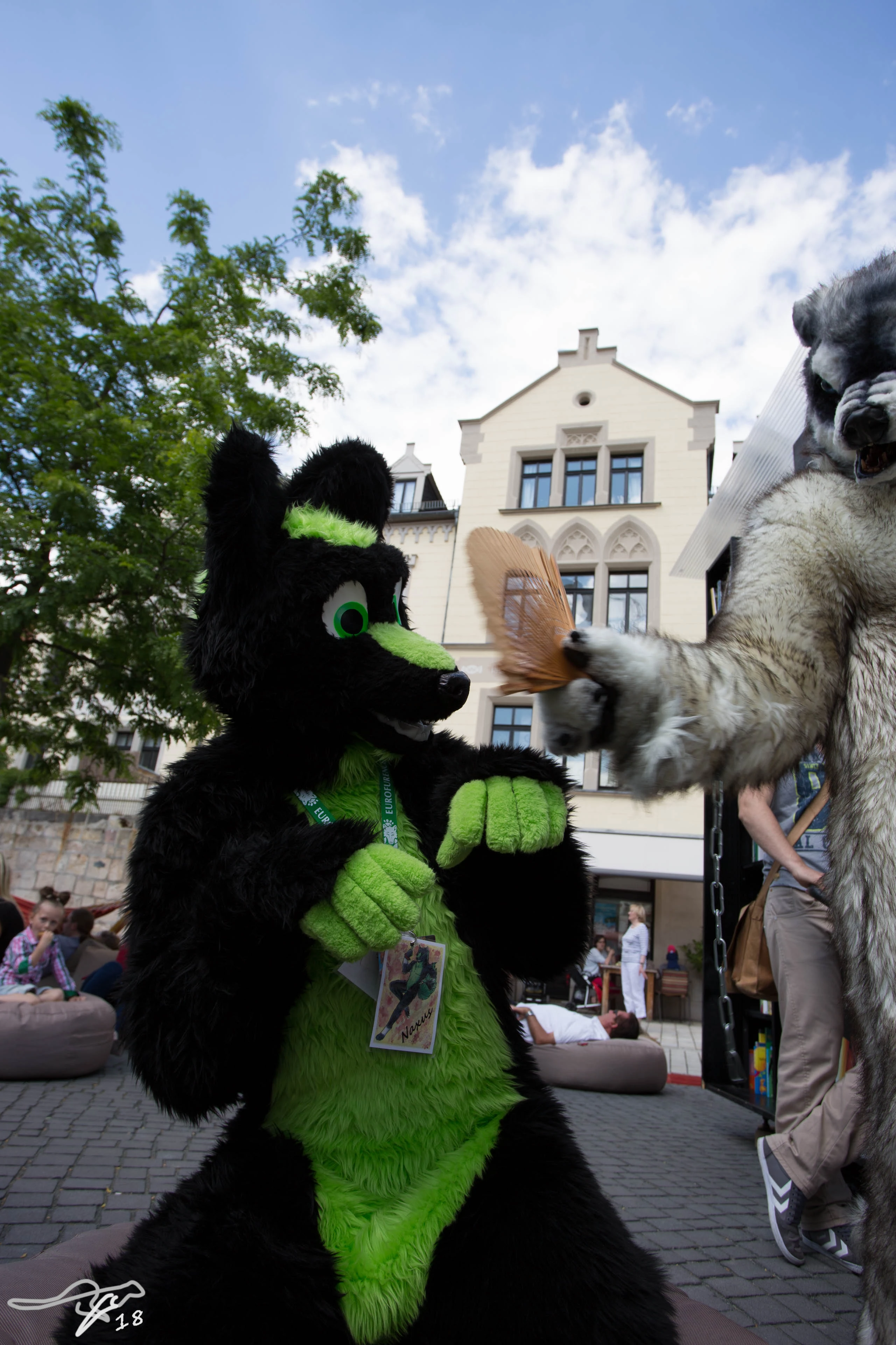 full image IMG_8734.jpg