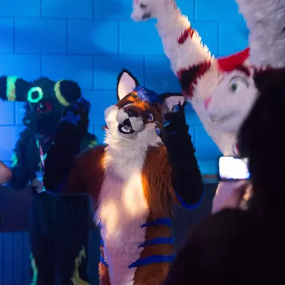 3B9C0630.jpg of cons/Furrave-5/