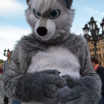 img-74.jpg of cons/Fursuitwalk-Frankfurt-2013/