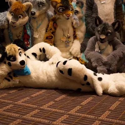3B9C0097.jpg of cons/MFF-2018/