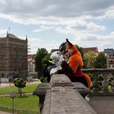 IMG_8816.jpg of cons/Fursuitwalk-Coburg-2014/