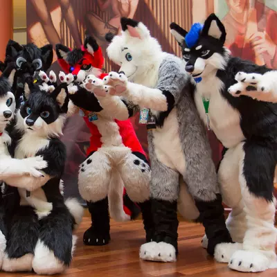 3B9C9517.jpg of cons/Eurofurence-20/
