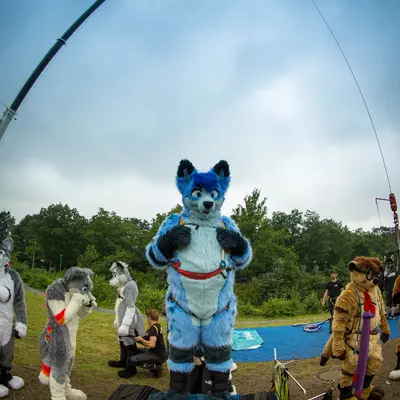 Next album: Fursuit-Bungeejumping-2014