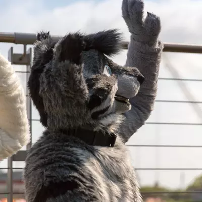 3B9C6270.jpg of cons/Fursuit-Bungeejumping-2016/