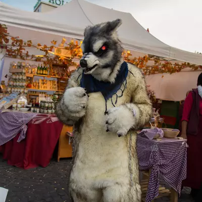 img-19.jpg of cons/Fursuitwalk-Frankfurt-2013/