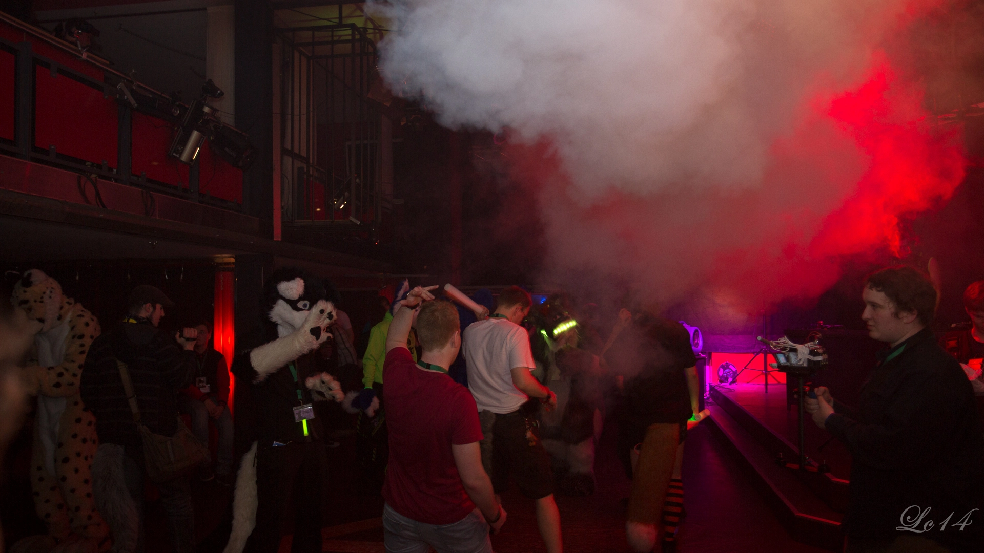 full image nfd4-34.jpg
