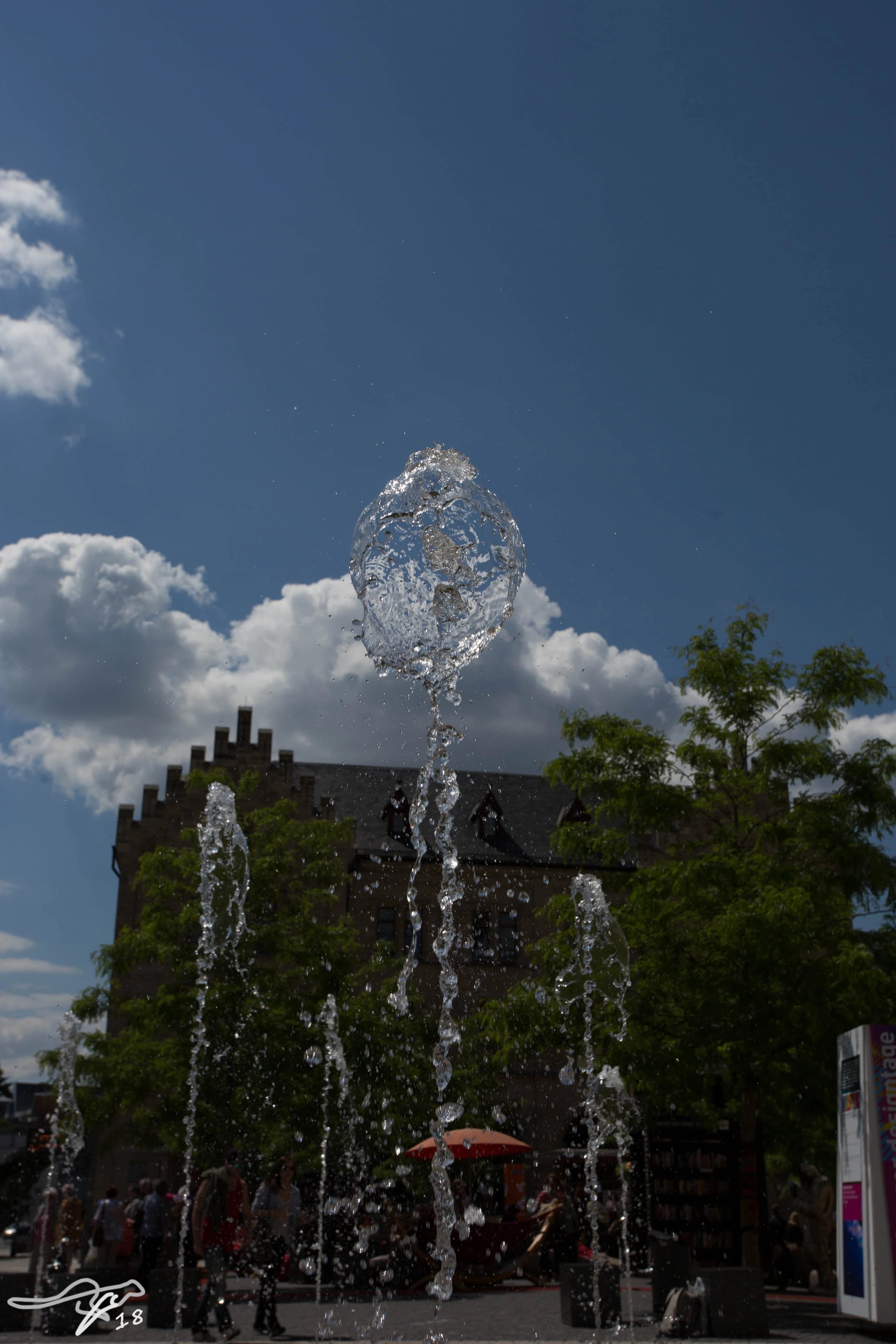 full image IMG_8655.jpg