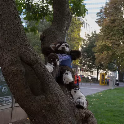 img-46.jpg of cons/Fursuitwalk-Frankfurt-2013/