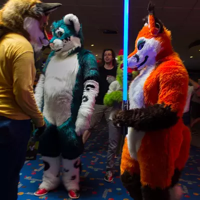 fsb-4.jpg of cons/Fursuitbowlen-Wiesbaden-2013/