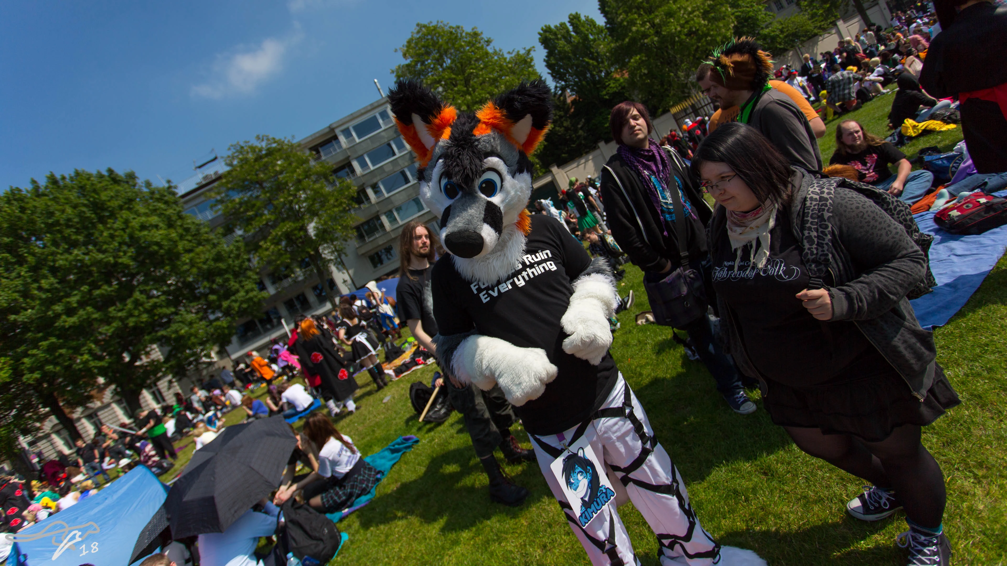 full image IMG_8075.jpg