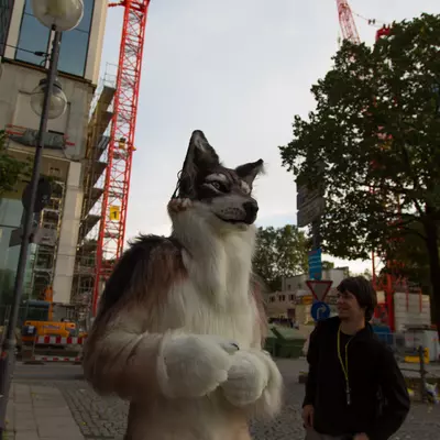 img-45.jpg of cons/Fursuitwalk-Frankfurt-2013/