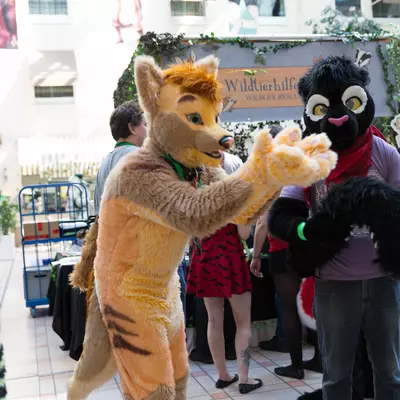 3B9C2882.jpg of cons/Eurofurence-21/