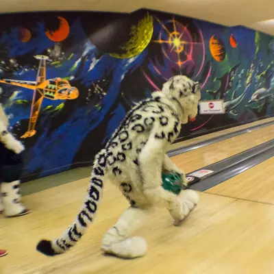 fsb-37.jpg of cons/Fursuitbowlen-Wiesbaden-2013/