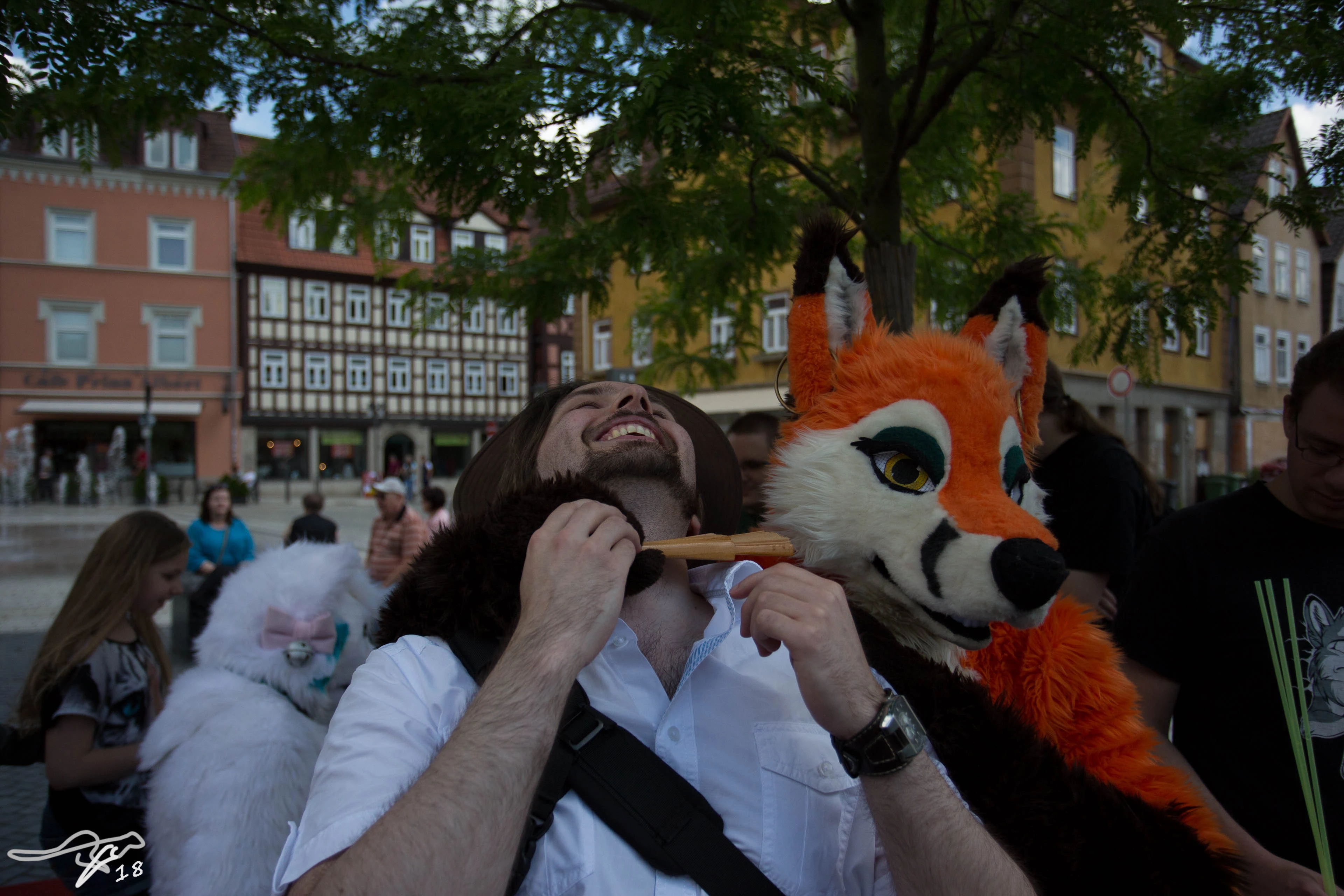 full image IMG_8744.jpg