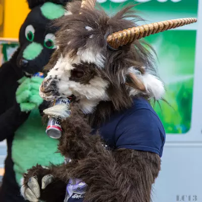 img-23.jpg of cons/Fursuitwalk-Frankfurt-2013/