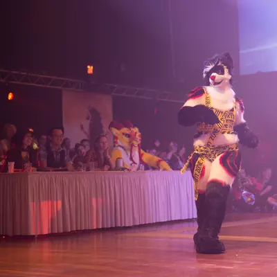 3B9C1211.jpg of cons/Eurofurence-23-Enter-the-arena/