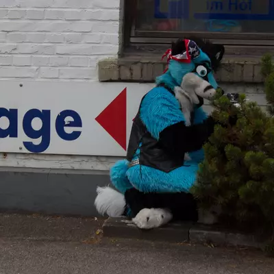 img-33.jpg of cons/Suitwalk-2013-Marl/