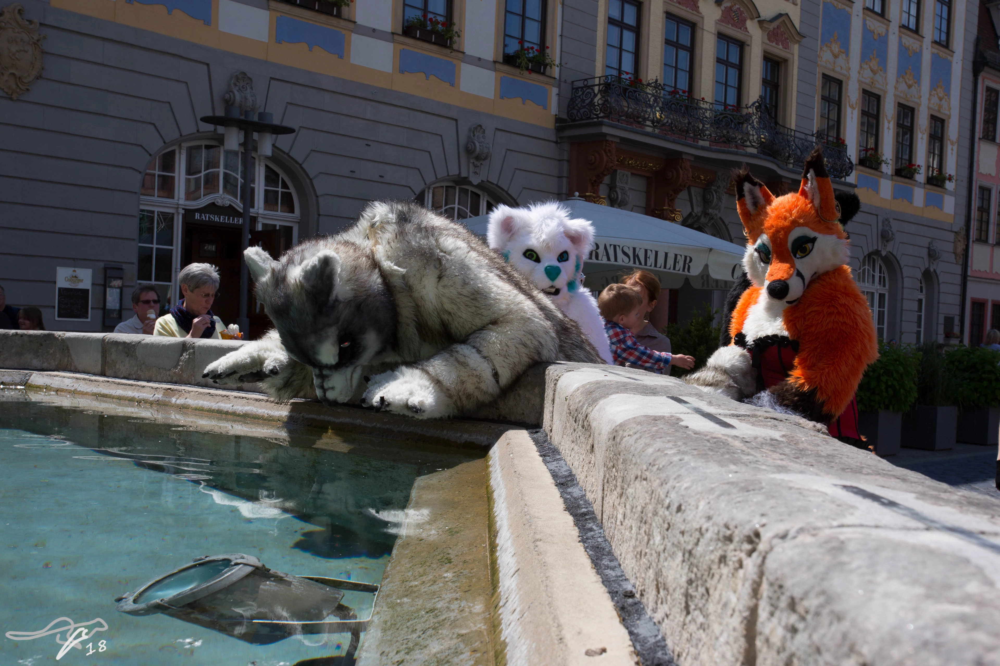 full image IMG_8601.jpg