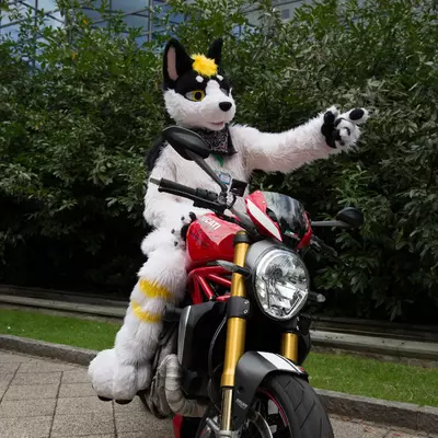 3B9C8217.jpg of cons/Eurofurence-22/