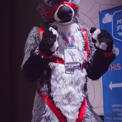 3B9C9896.jpg of cons/MFF-2018/