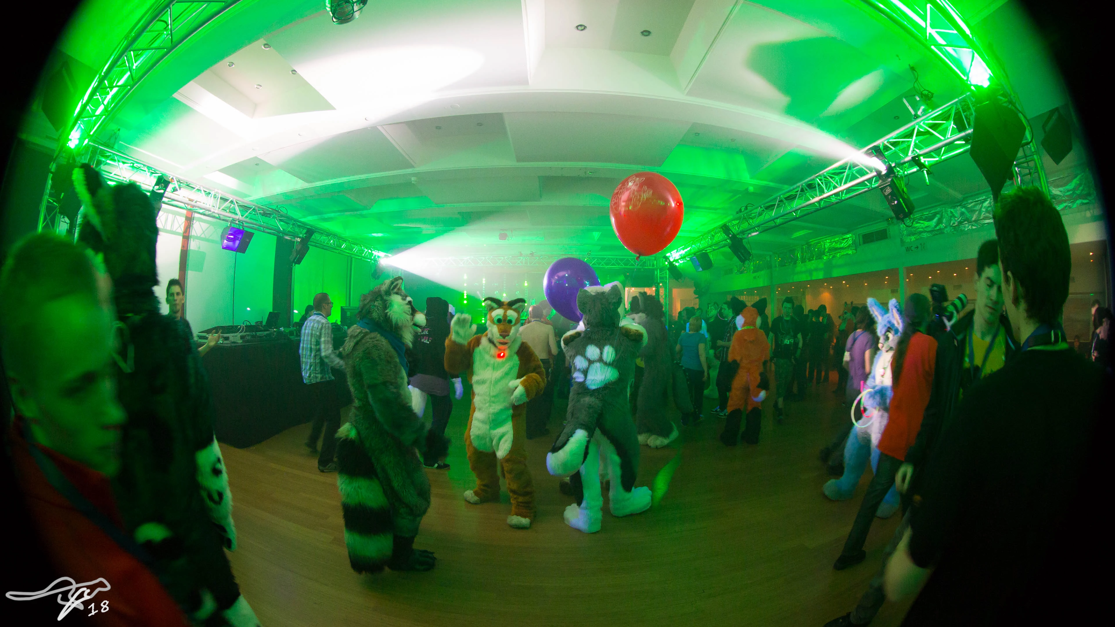full image IMG_7461.jpg
