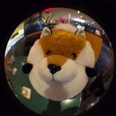 fsb-49.jpg of cons/Fursuitbowlen-Wiesbaden-2013/