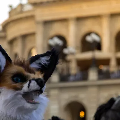 img-72.jpg of cons/Fursuitwalk-Frankfurt-2013/