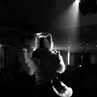 3B9C0317.jpg of cons/Eurofurence-20/