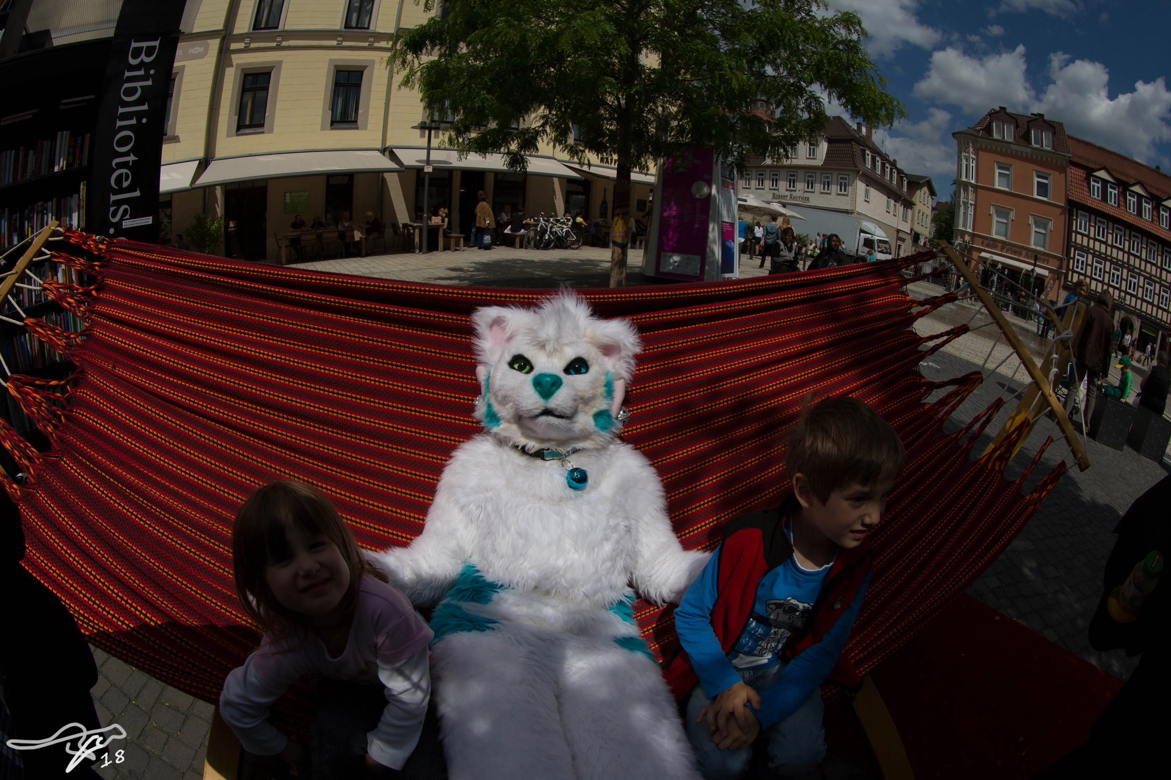full image IMG_8768.jpg