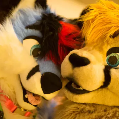 3B9C9656.jpg of cons/MFF-2018/